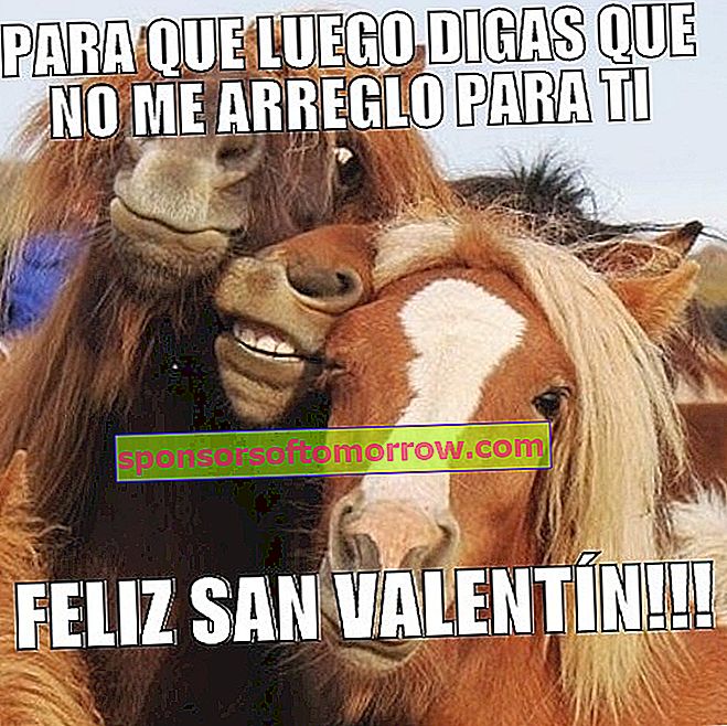 Valentine horse meme