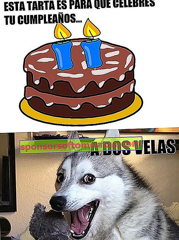 dog birthday meme