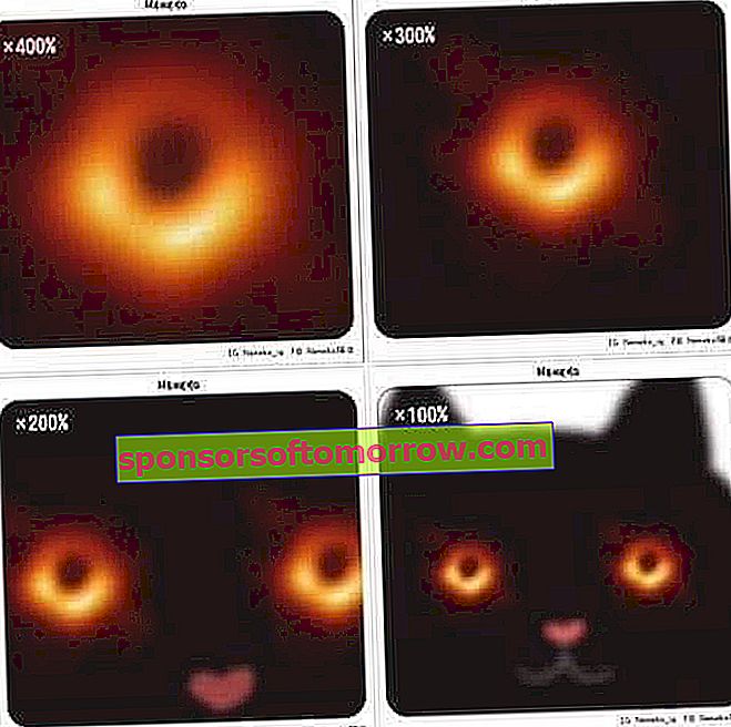 kucing lubang hitam