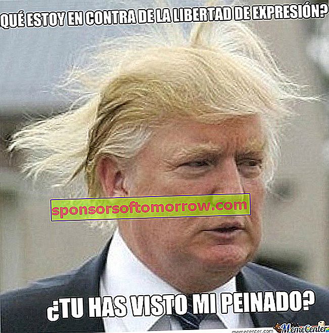 Donald Trump Frisur