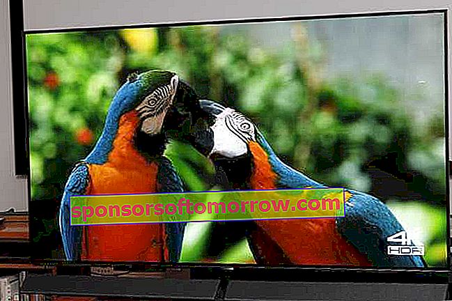 Panasonic 65 EZ1000 haben wir OLED-TV mit 4K HDR getestet