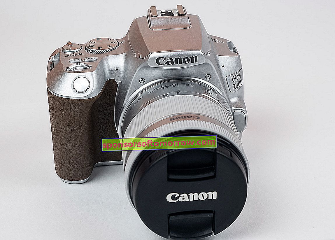 Wir haben Canon EOS 250D final getestet