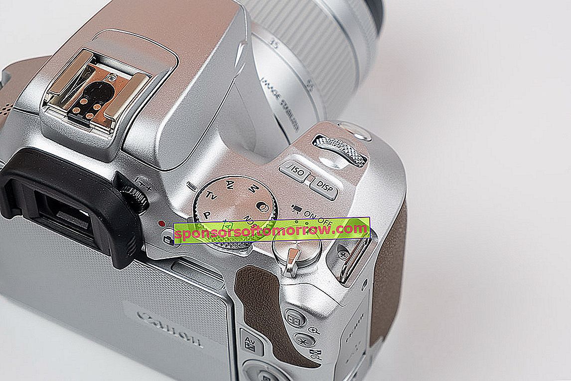 Wir haben Canon EOS 250D Tasten getestet