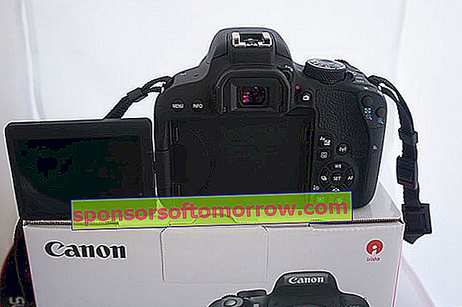 Tes fokus Canon EOS 800D