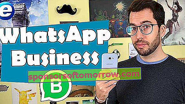 How to install and what to do with WhatsApp Business or WhatsApp for Business