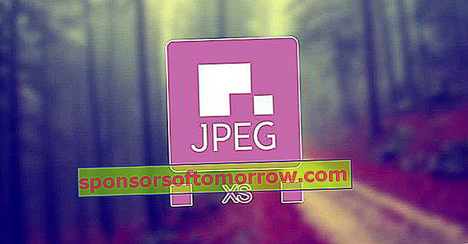 JPEG-Bild