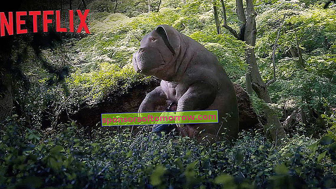 Top 10 Tierdokumentationen auf Netflix