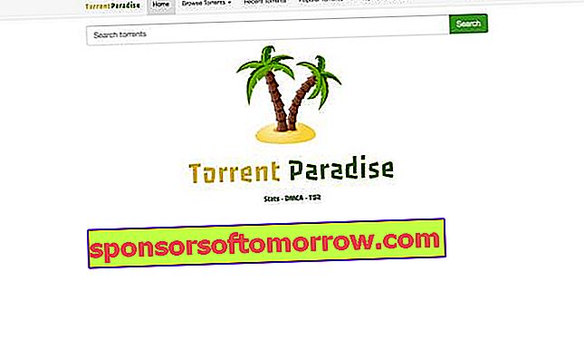 Torrent-Paradies