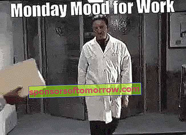 Monday GIF by Demic - Find & Share on GIPHY