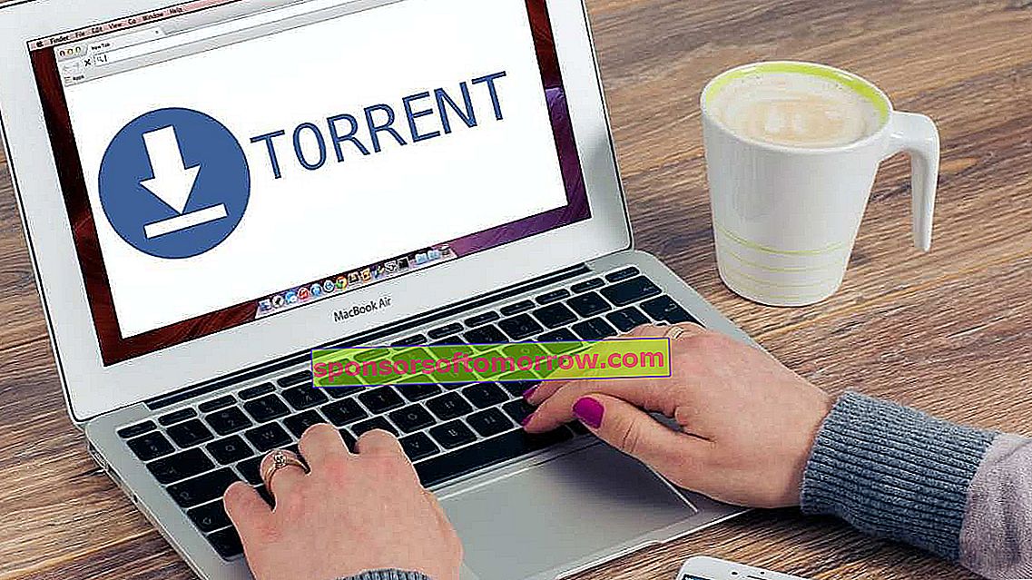 Download torrent