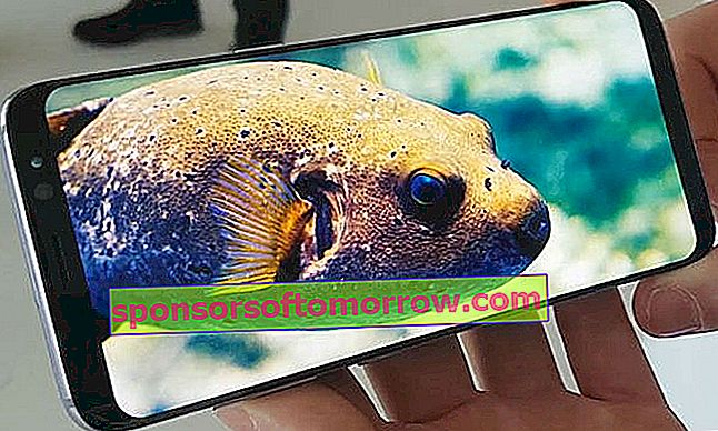 Экран Samsung Galaxy S8 Plus