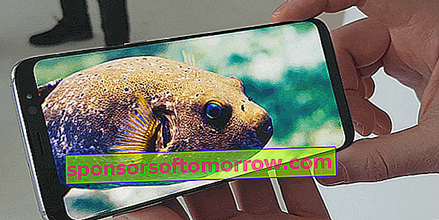 Galaxy S8 + Bildschirm