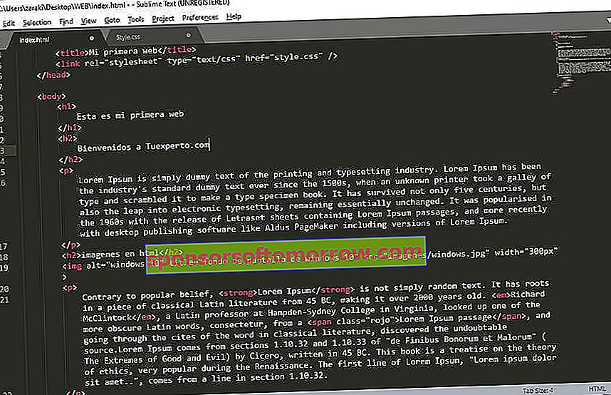 Sublime Text adalah editor kode terbaik untuk pemrograman