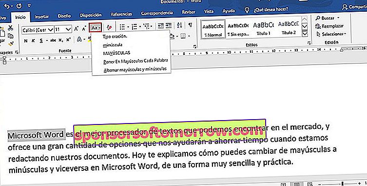 How to switch between uppercase and lowercase in Word 1