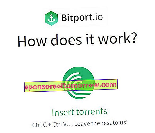 bitport web torrent